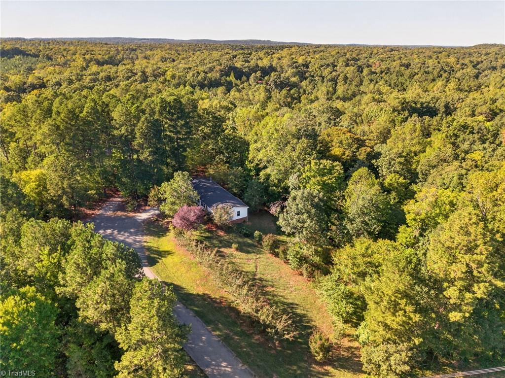 2304 Yellow Pine Drive Property Photo 37