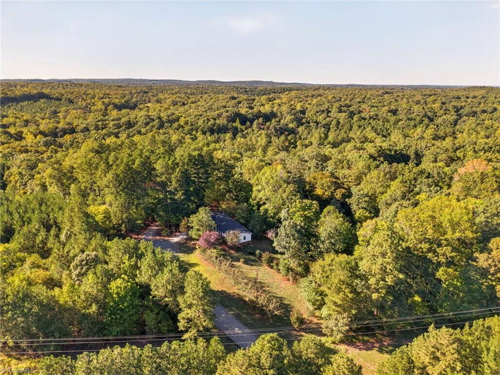 2304 Yellow Pine Drive Property Photo 39