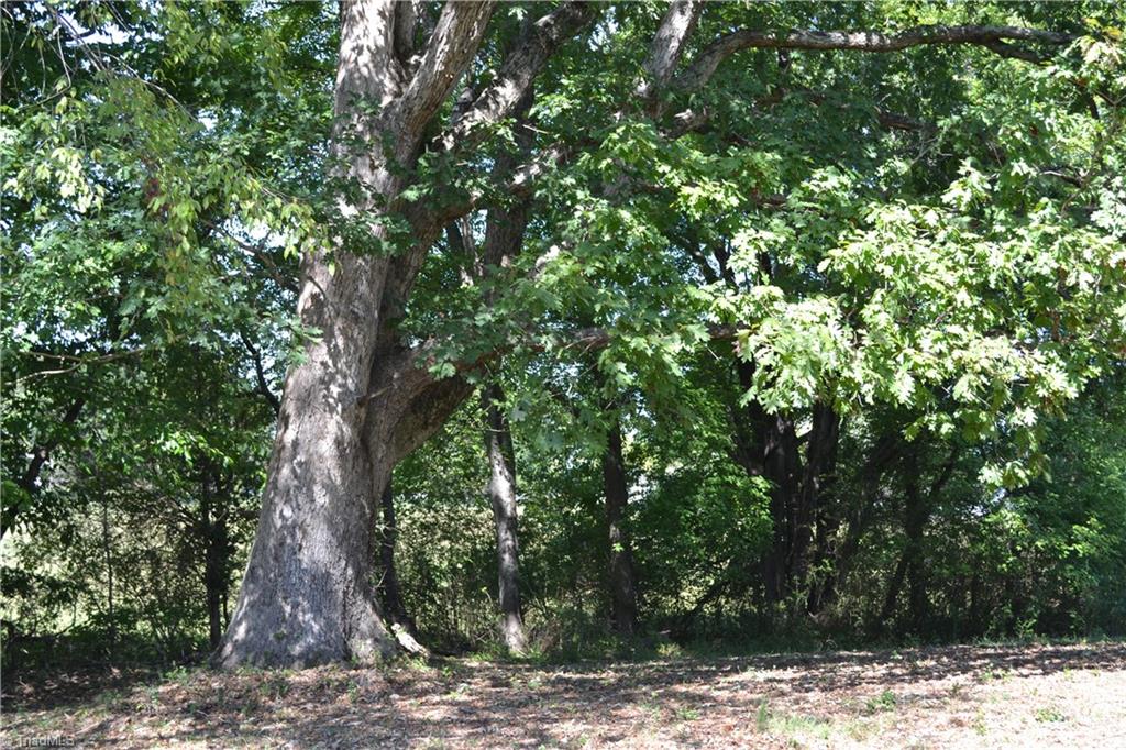 134 Settlement Loop Property Photo 44