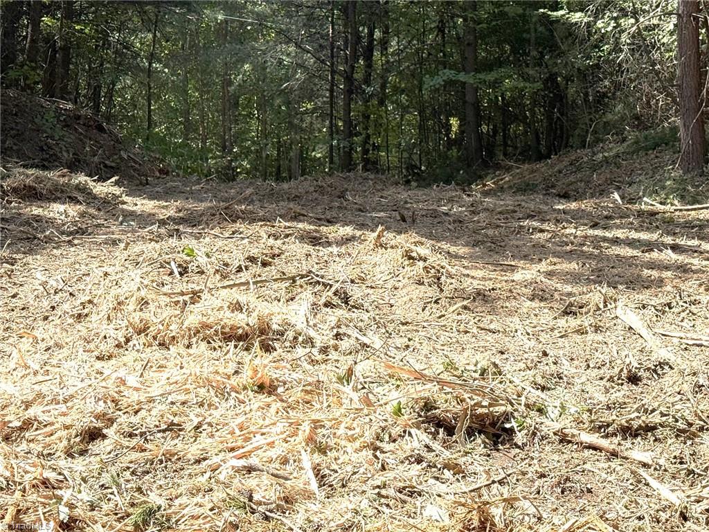 Tbd Ridge Run Road Property Photo 1