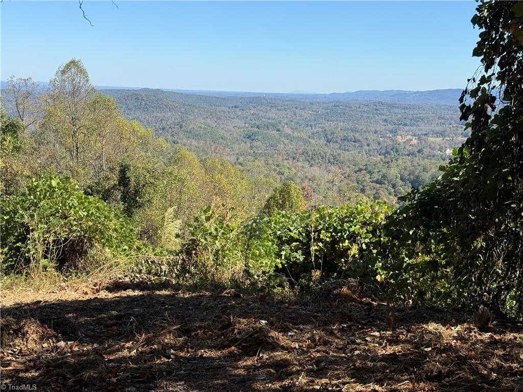 Tbd Ridge Run Road Property Photo 2