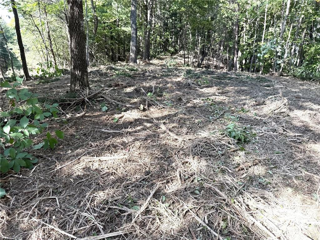 Tbd Ridge Run Road Property Photo 5