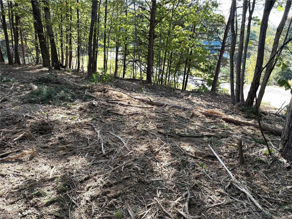 Tbd Ridge Run Road Property Photo 6