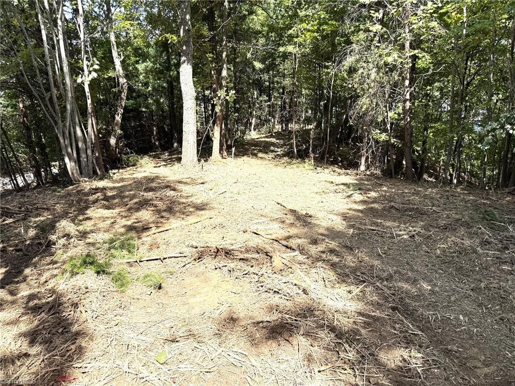 Tbd Ridge Run Road Property Photo 7