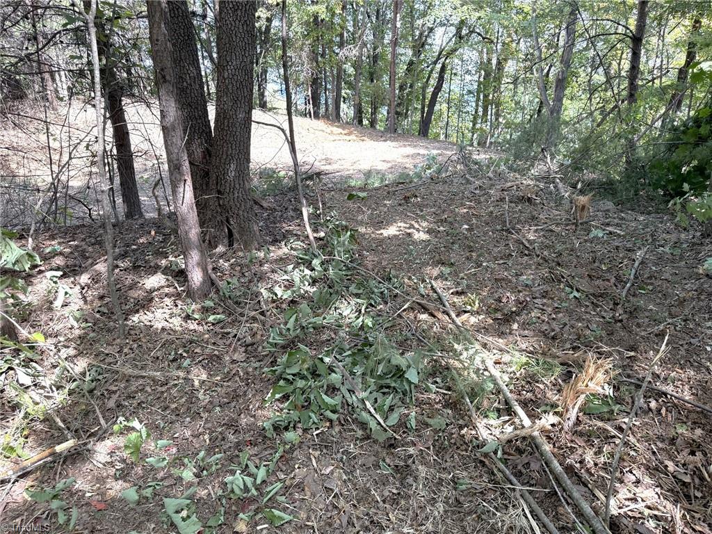 Tbd Ridge Run Road Property Photo 8
