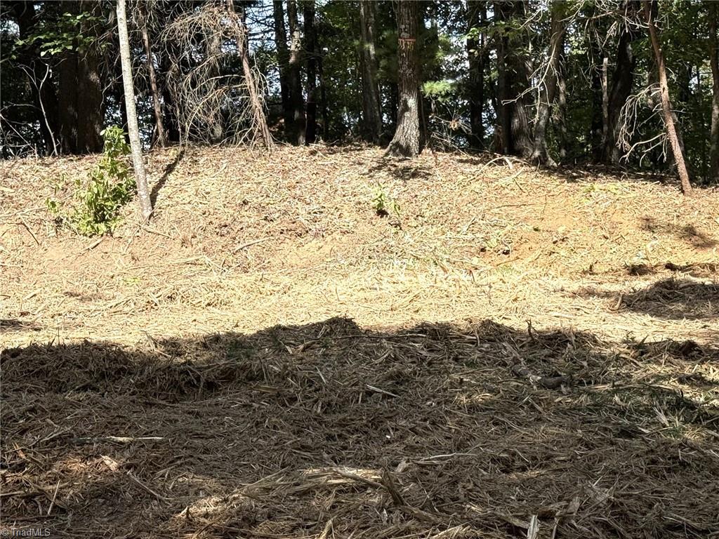 Tbd Ridge Run Road Property Photo 9