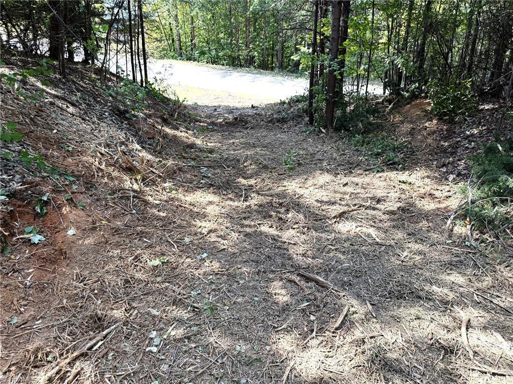 Tbd Ridge Run Road Property Photo 10