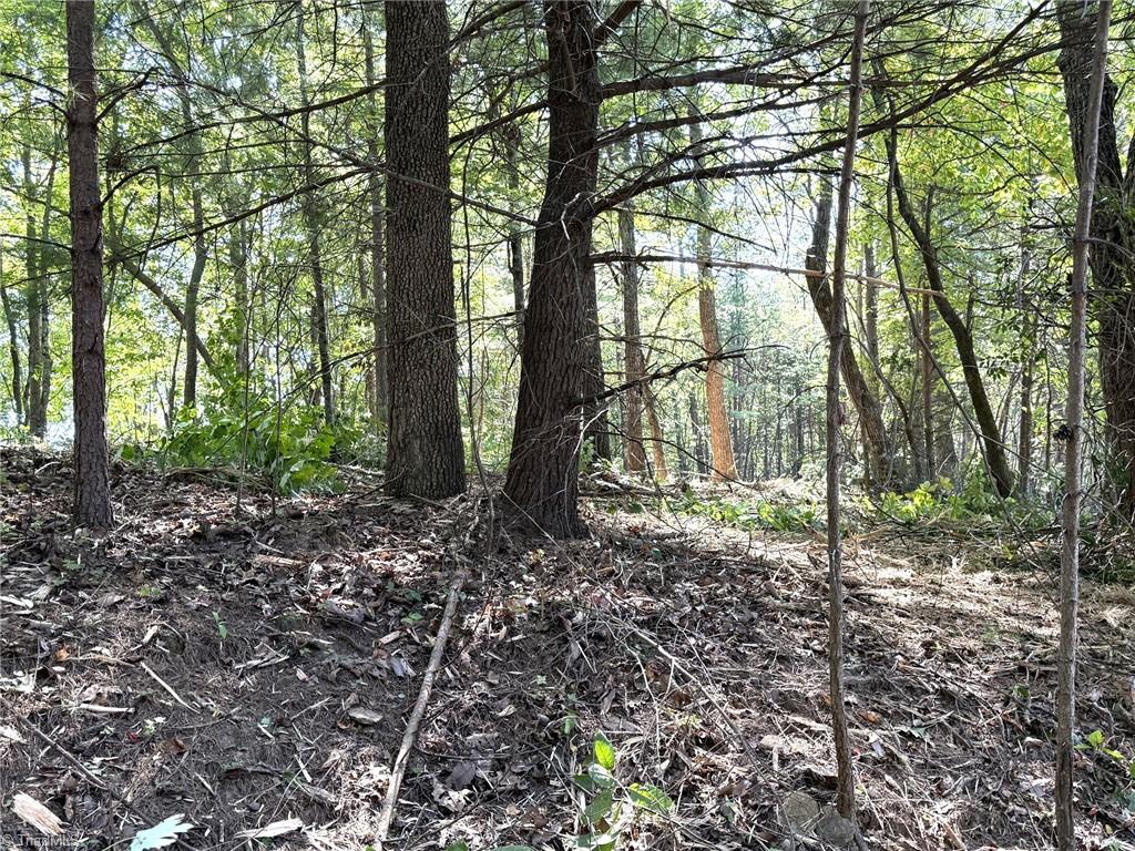 Tbd Ridge Run Road Property Photo 11