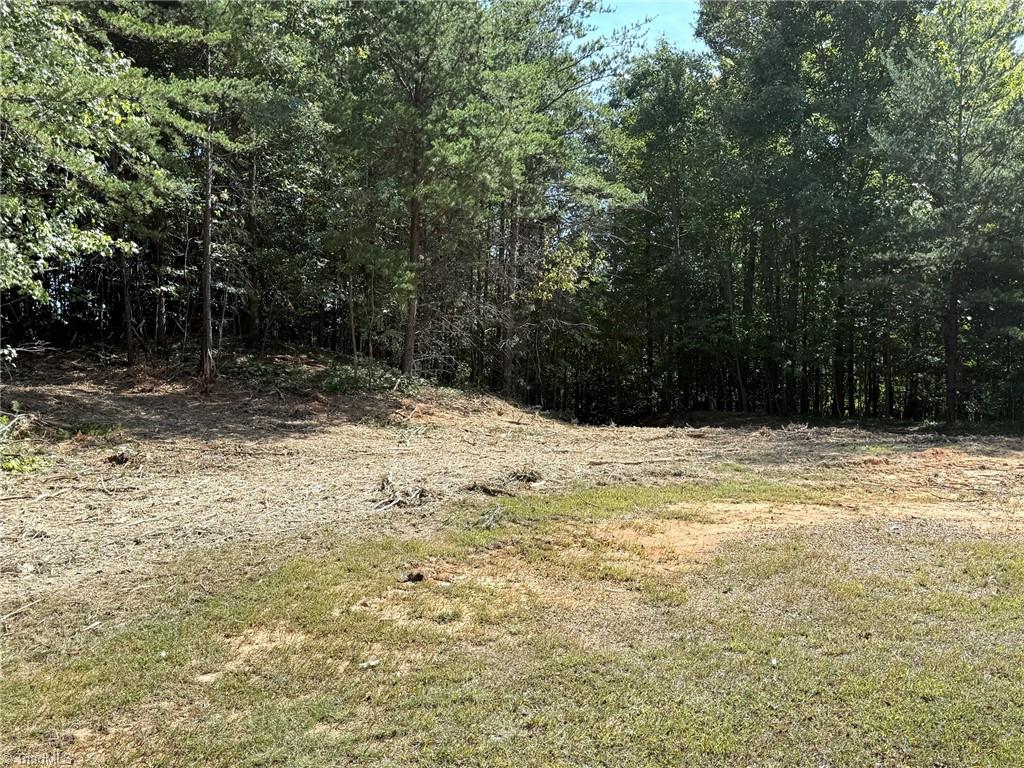Tbd Ridge Run Road Property Photo 12