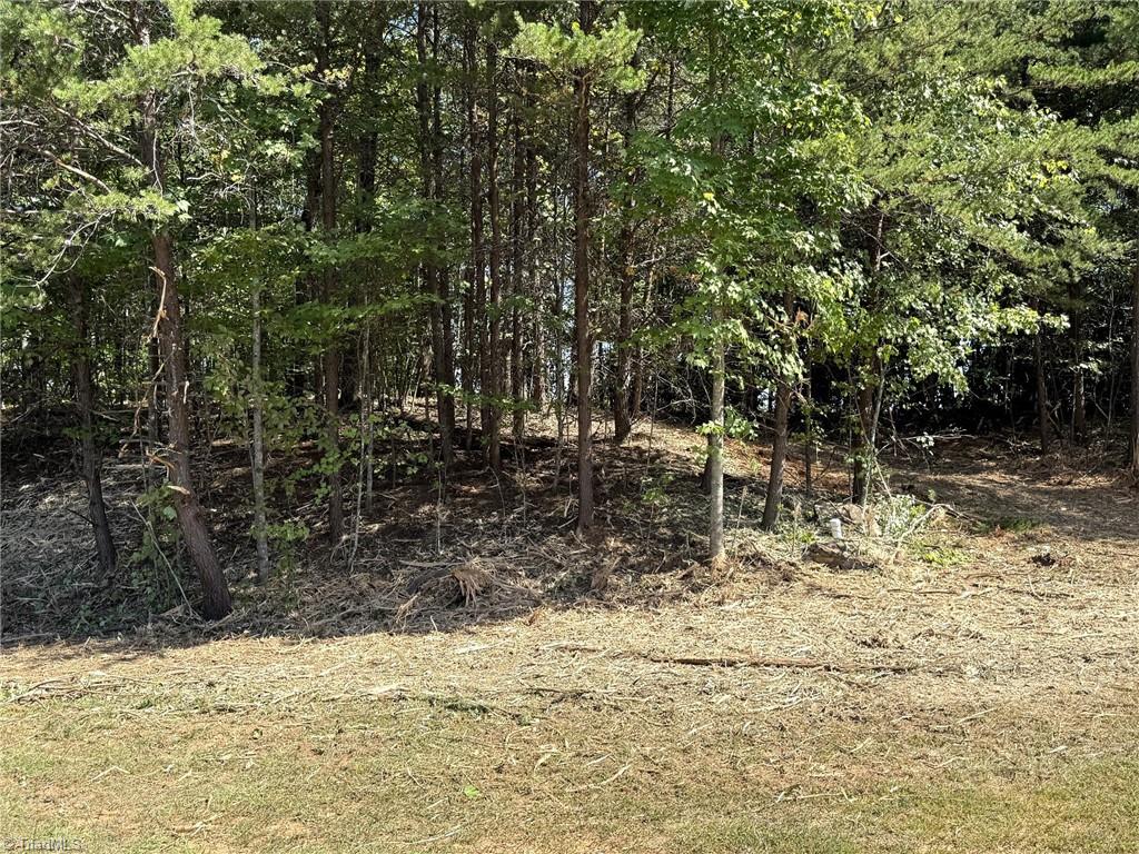 Tbd Ridge Run Road Property Photo 13