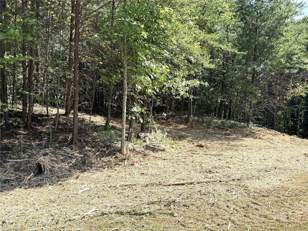 Tbd Ridge Run Road Property Photo 15