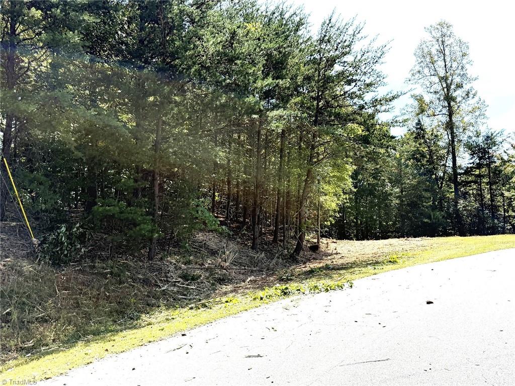 Tbd Ridge Run Road Property Photo 16