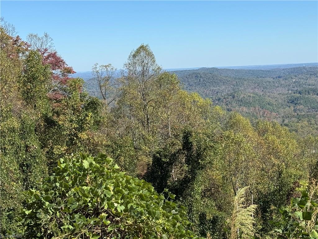 Tbd Ridge Run Road Property Photo 17