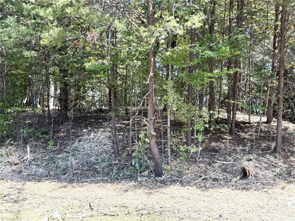 Tbd Ridge Run Road Property Photo 18