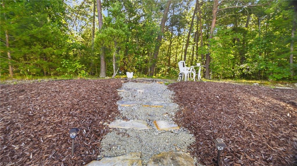 1017 Scotch Pine Way Property Photo 46