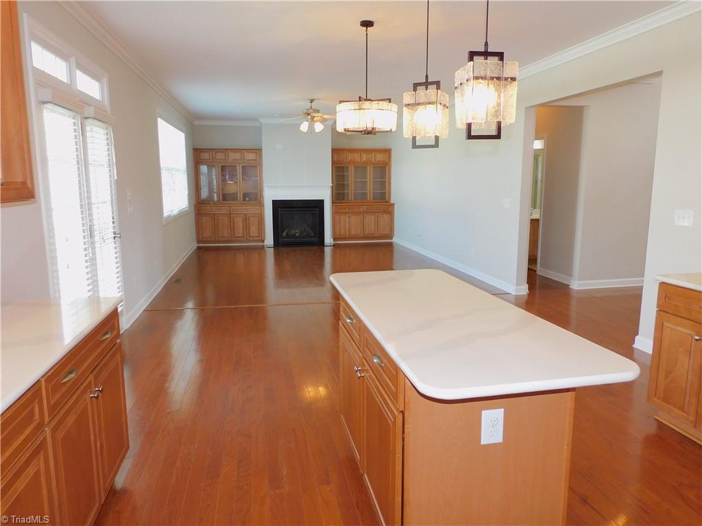 4593 Worthing Chase Drive Property Photo 11