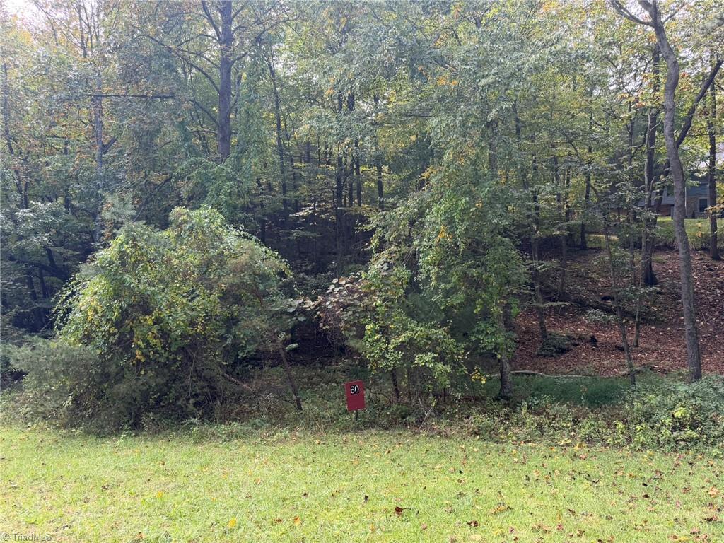 Lot 60 Jonathan Drive Property Photo 5