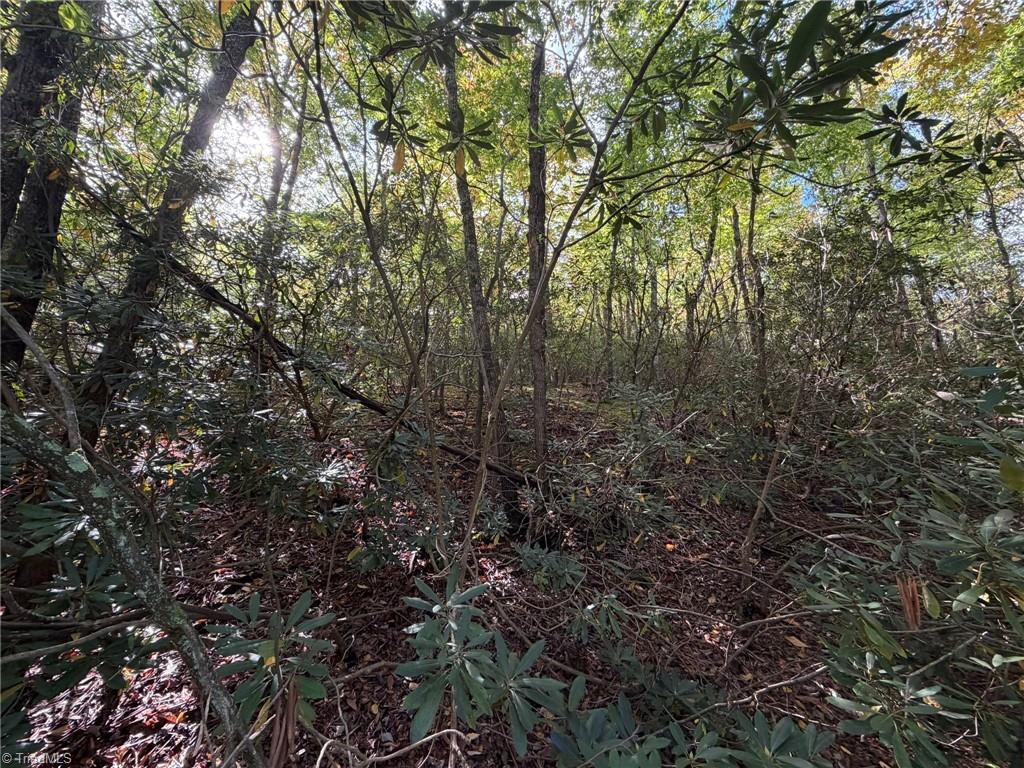Lot 60 Jonathan Drive Property Photo 7