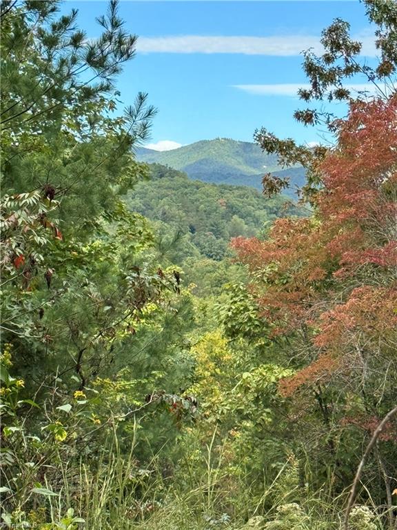 01 Cane Creek Church Road Property Photo 2