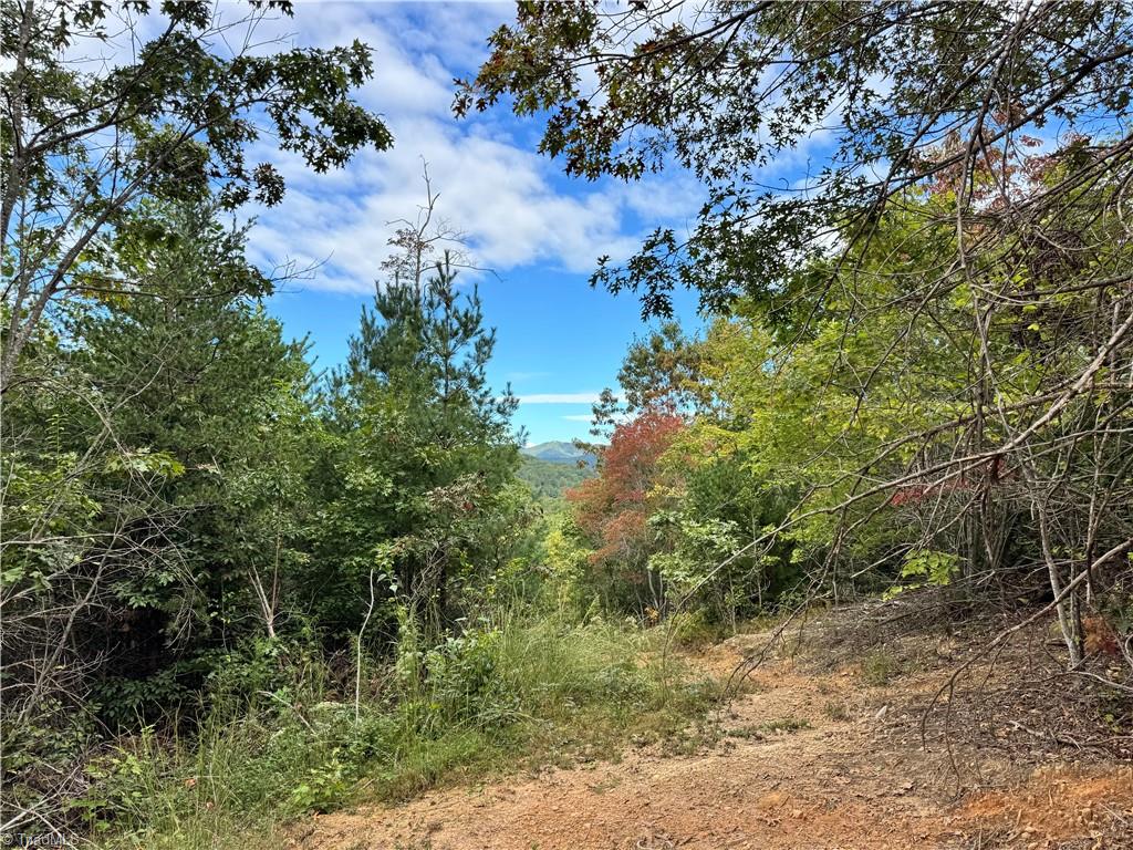 01 Cane Creek Church Road Property Photo 3