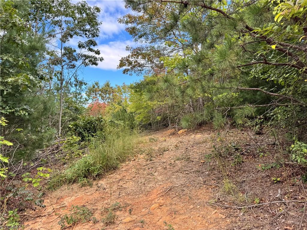 01 Cane Creek Church Road Property Photo 4