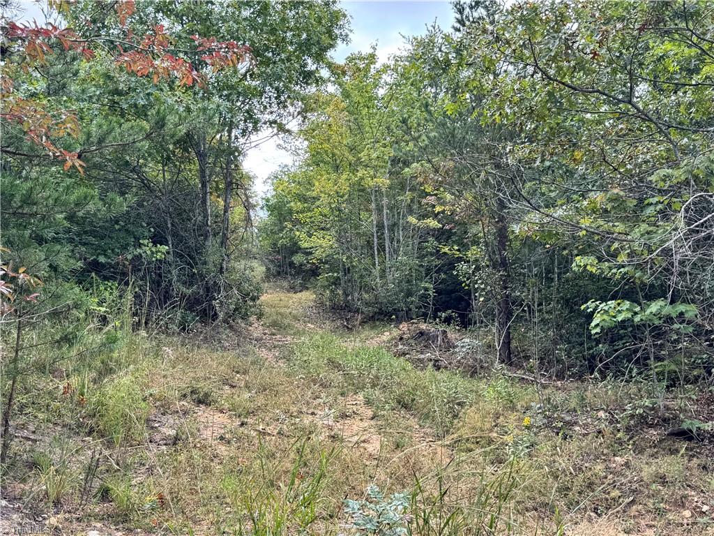 01 Cane Creek Church Road Property Photo 6