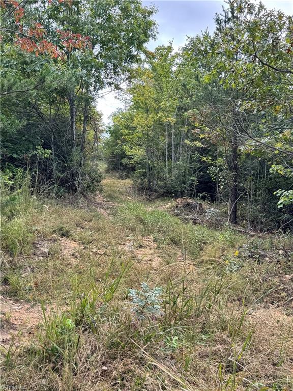 01 Cane Creek Church Road Property Photo 7