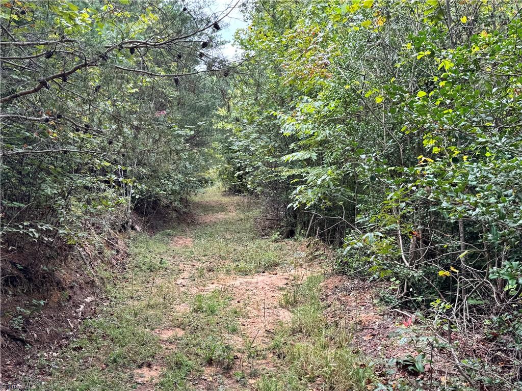 01 Cane Creek Church Road Property Photo 8