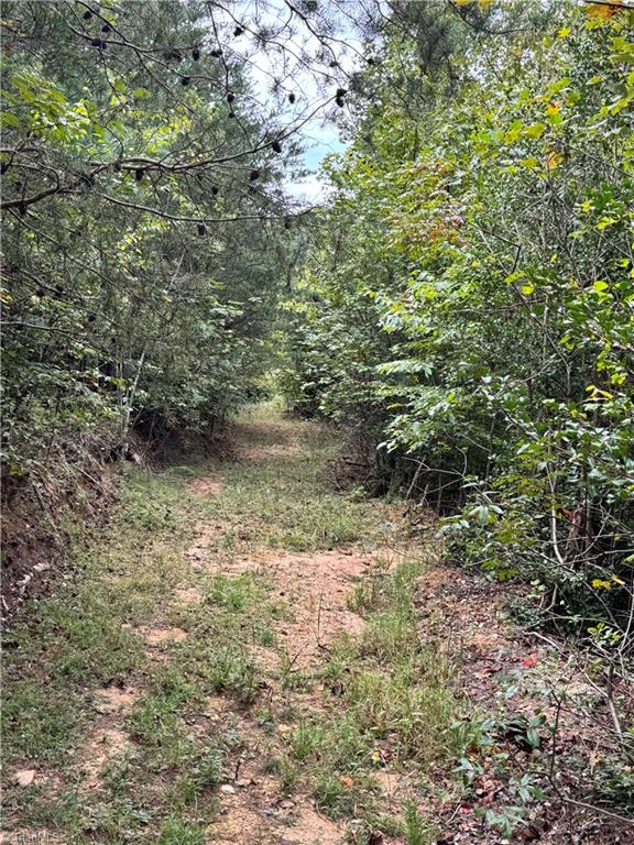 01 Cane Creek Church Road Property Photo 9