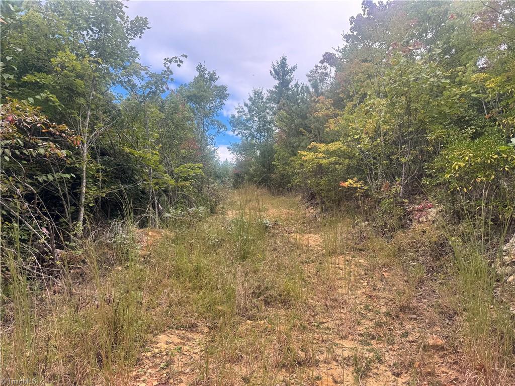 01 Cane Creek Church Road Property Photo 11