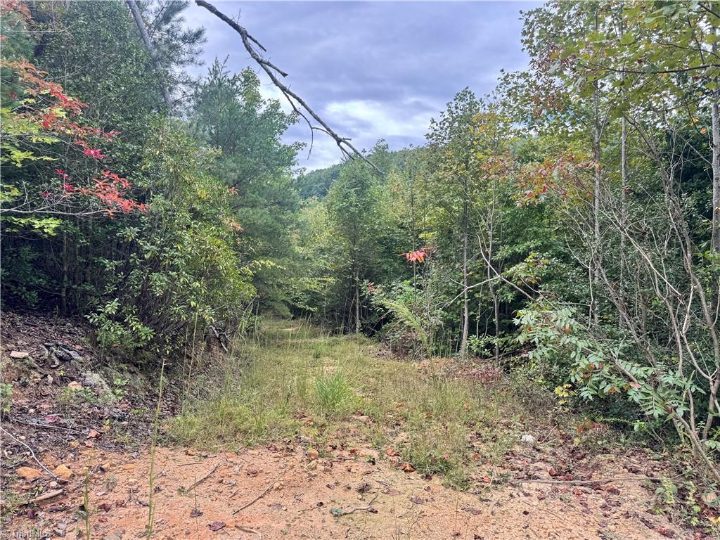 01 Cane Creek Church Road Property Photo 12