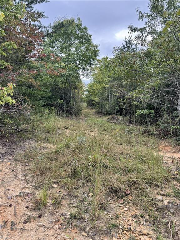 01 Cane Creek Church Road Property Photo 13