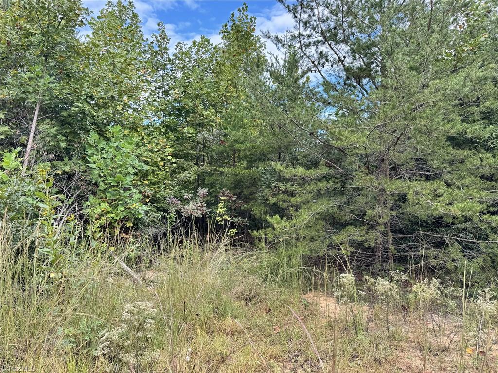 01 Cane Creek Church Road Property Photo 14