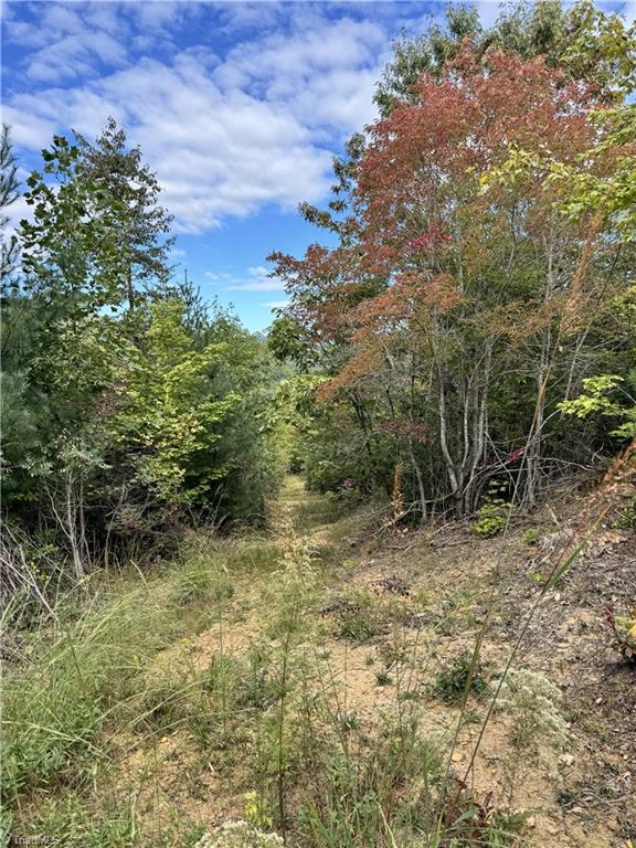 01 Cane Creek Church Road Property Photo 15