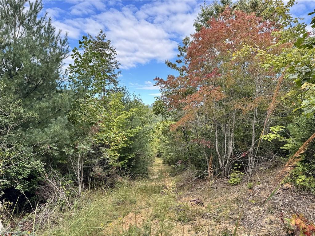 01 Cane Creek Church Road Property Photo 16