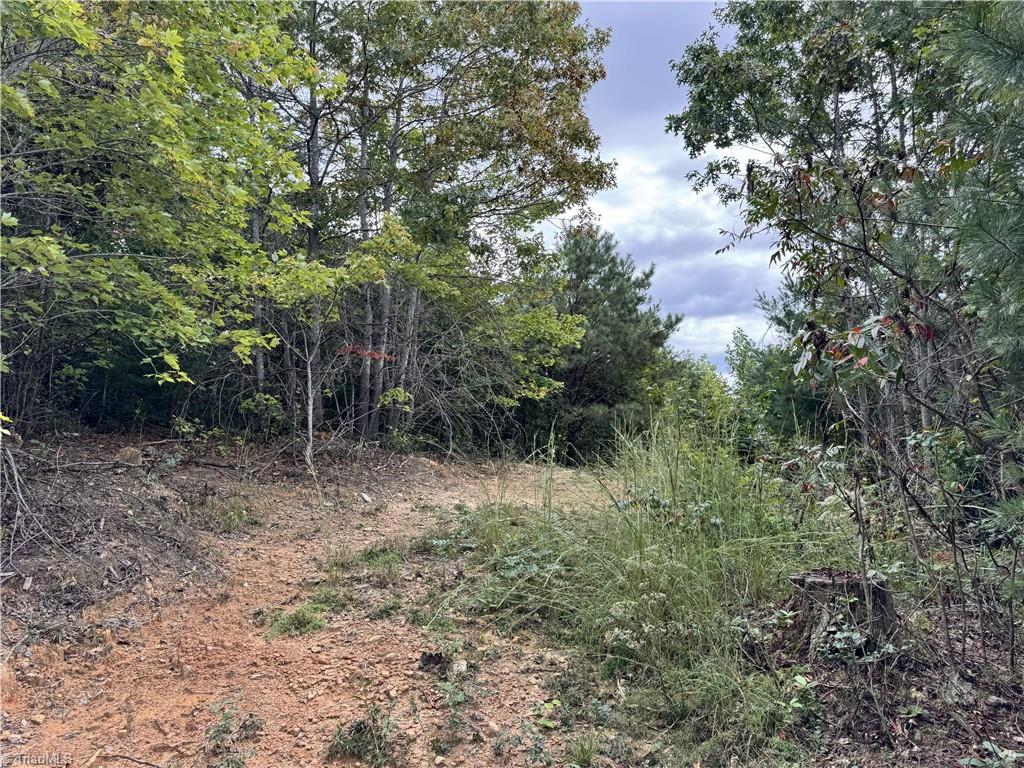 01 Cane Creek Church Road Property Photo 17