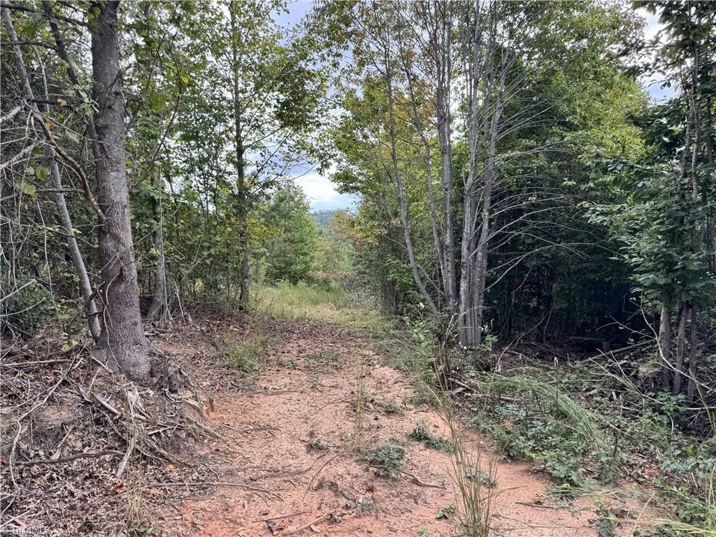 01 Cane Creek Church Road Property Photo 18