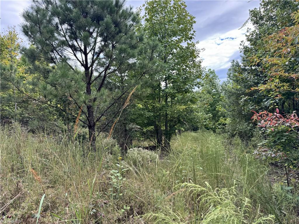 01 Cane Creek Church Road Property Photo 19