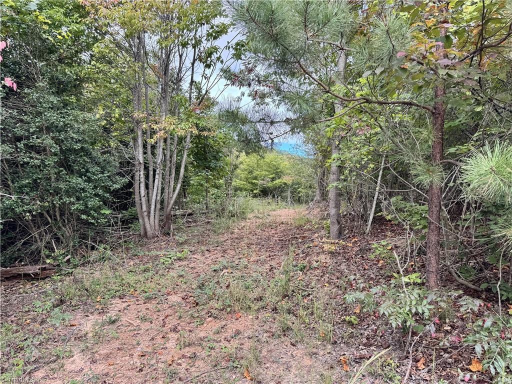 01 Cane Creek Church Road Property Photo 20