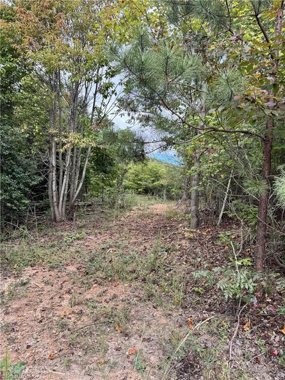 01 Cane Creek Church Road Property Photo 21