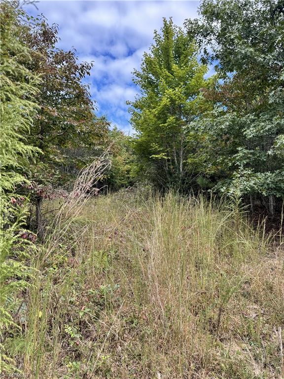 01 Cane Creek Church Road Property Photo 22