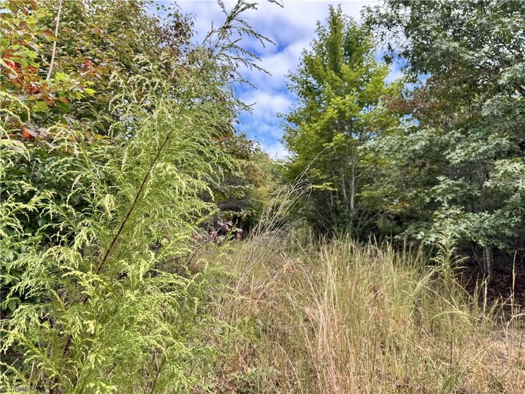 01 Cane Creek Church Road Property Photo 23