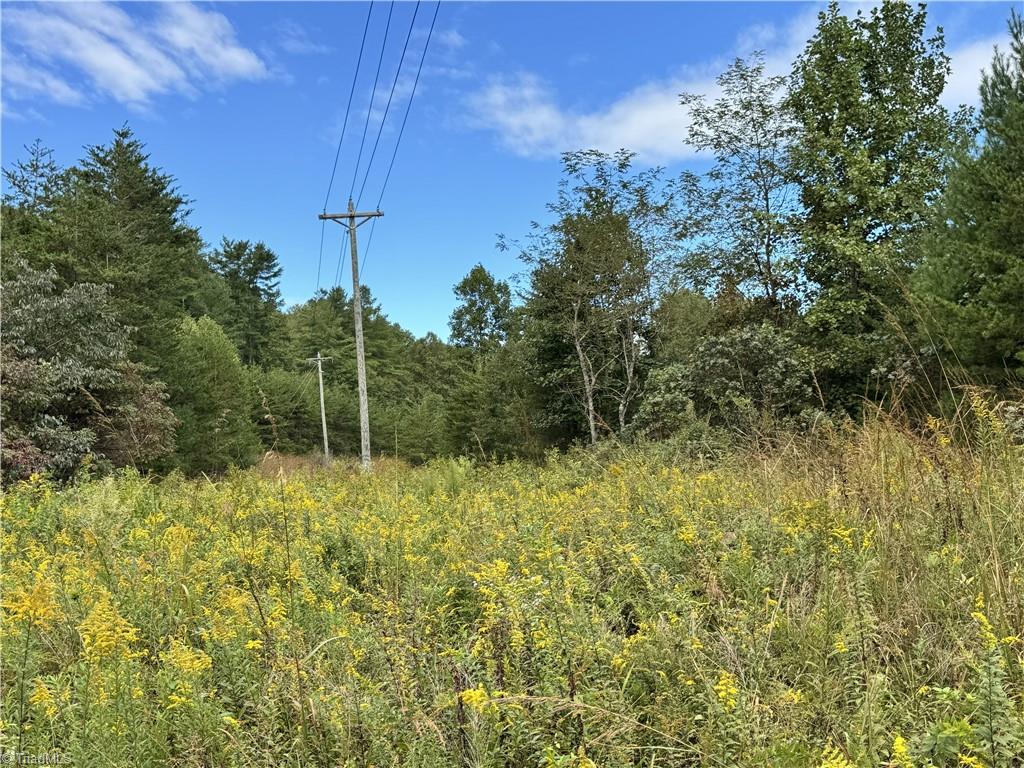 01 Cane Creek Church Road Property Photo 26