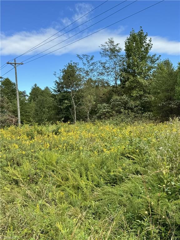01 Cane Creek Church Road Property Photo 28
