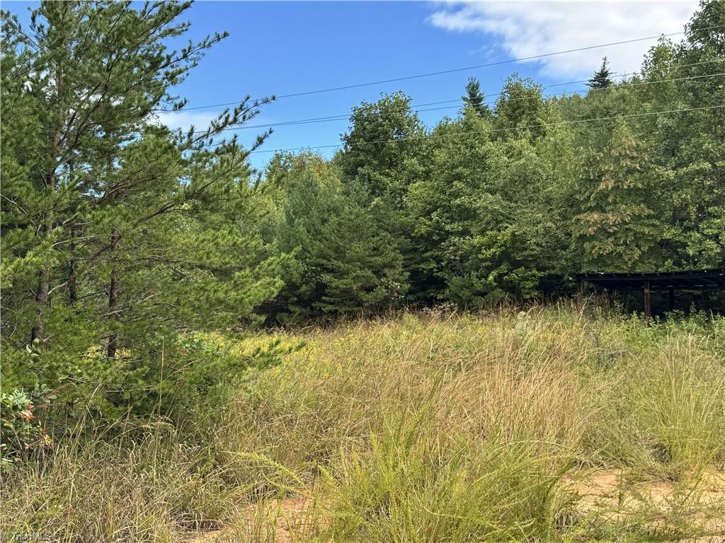 01 Cane Creek Church Road Property Photo 31