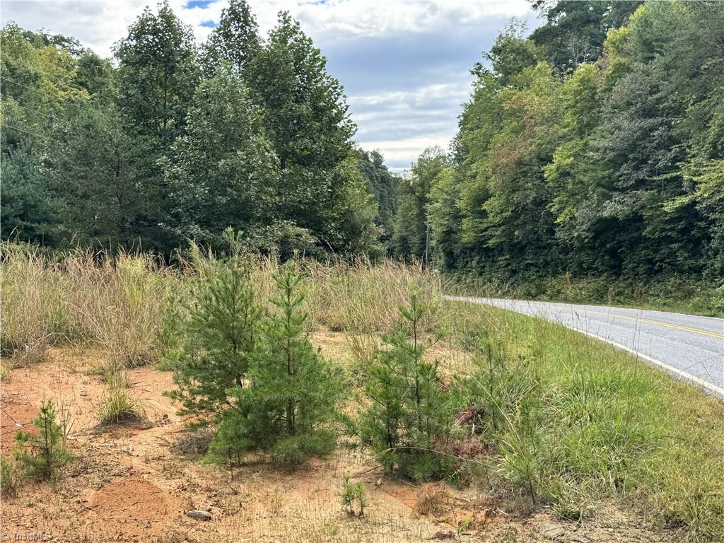 01 Cane Creek Church Road Property Photo 32