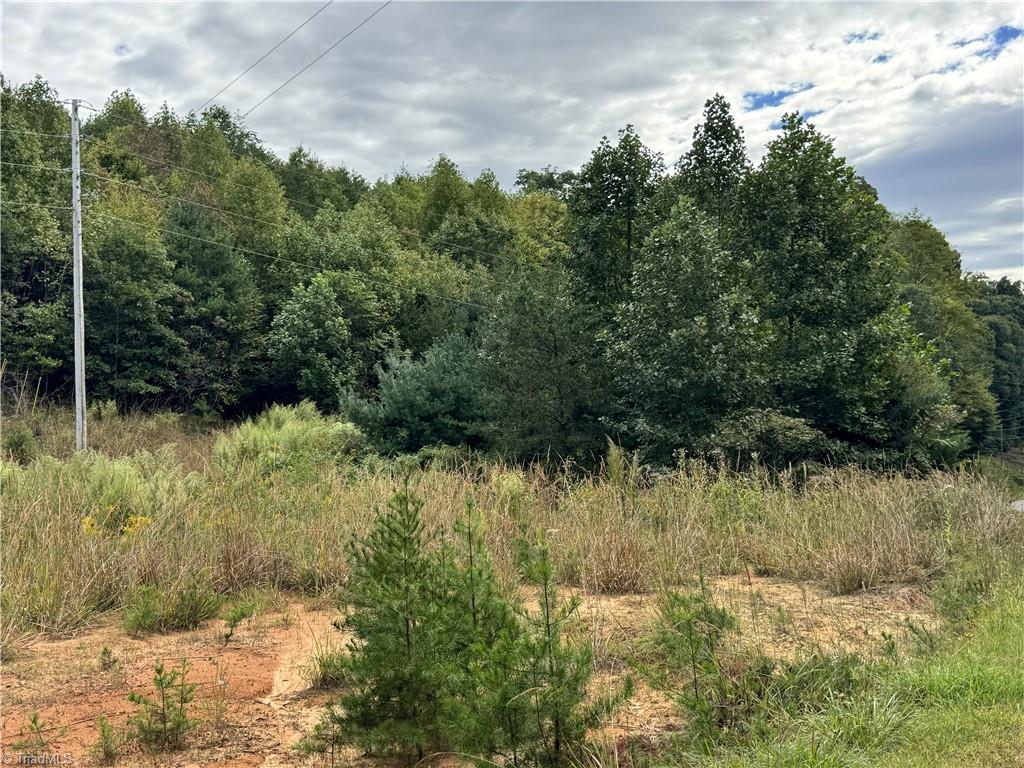 01 Cane Creek Church Road Property Photo 34