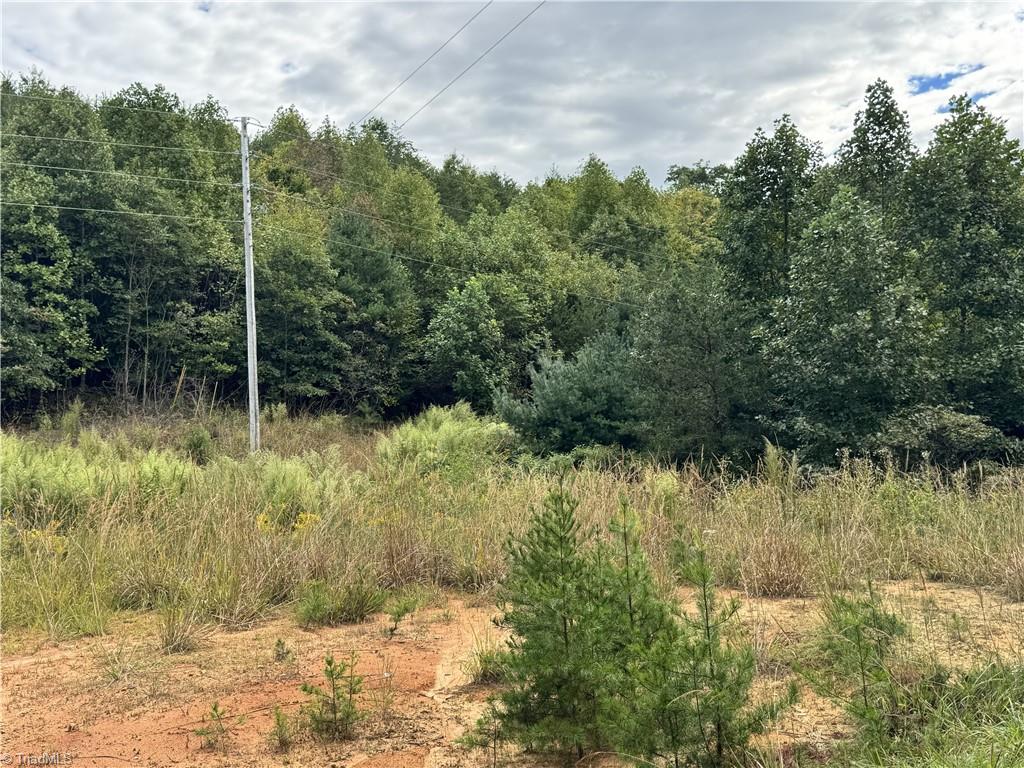 01 Cane Creek Church Road Property Photo 35