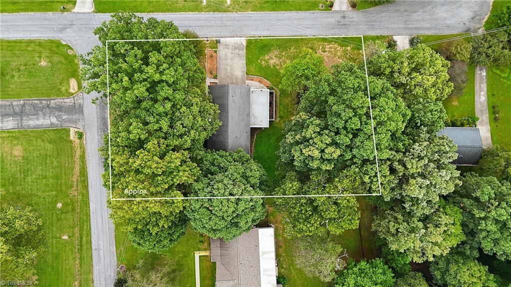 113 Little John Circle Property Photo 44