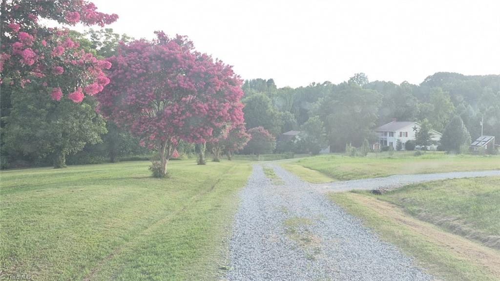 141 Old Thomas Farm Road Property Photo 4
